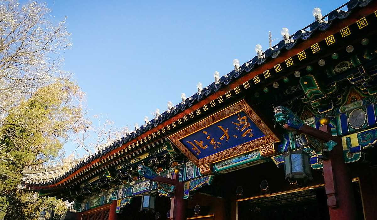 北京大学